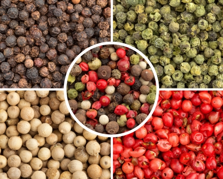 varieties of peppercorns  white, black, green, red and mixedの写真素材