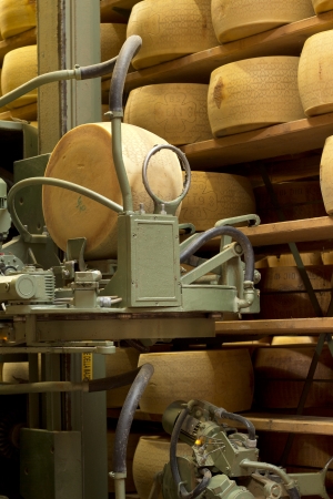 robot in a maturing storehouse of parmesan cheeseの写真素材