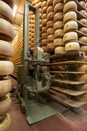 robot in a maturing storehouse of parmesan cheeseの写真素材