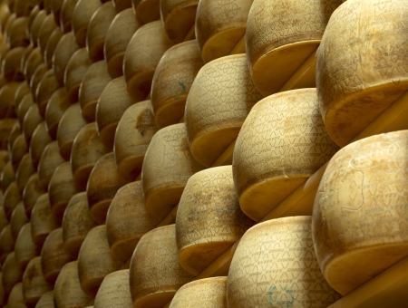 heap of wheels of cheese in a maturing storehouseの写真素材