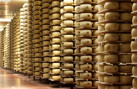 shelves of a cheese maturing warehouse の写真素材