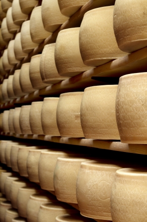 freshly made parmesan cheese on shelves of a storehouseの写真素材