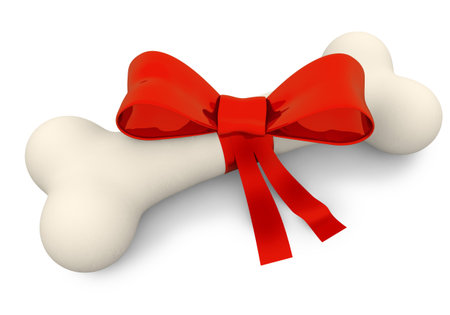 dog bone with red ribbon on white background