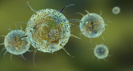 Virus cells in a greenの写真素材