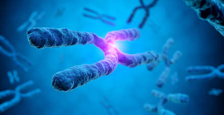 magnification of X chromosome with a glowing effect in a blue background, 3d illustration - concept of cloning and genetic mutationの写真素材