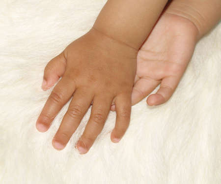 s handsの写真素材