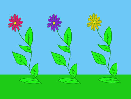 Tree flowersの写真素材