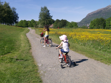Mother and children riding bikes in a field of buttercups.の写真素材