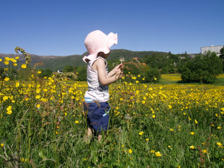 little girl in a meadow with yellow flowers and blue sky backgroundの写真素材