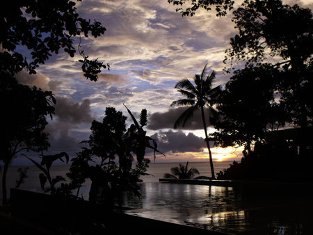 Romantic sunset among the trees of Koh Chang Island. Thailand