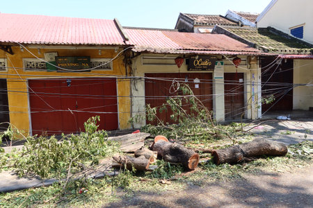 Hoi An, Vietnam, October 29, 2020: Remains of a fallen tree on the power lines in the city of Hoi An...