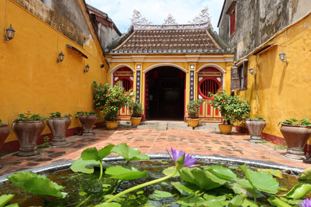 Hoi An, Vietnam, October 10, 2021: Water lilies at Hy Hoa Temple in Hoi An, Vietnamのeditorial素材