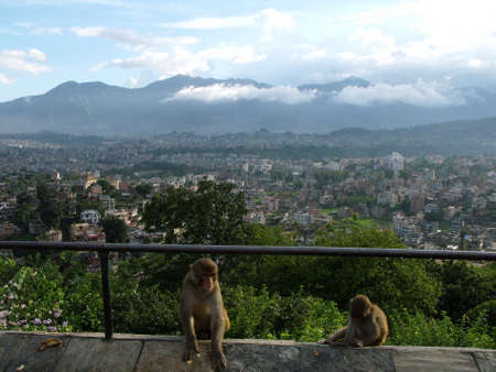 Kathmandu, Nepal, August 20, 2011: Two monkeys with the city in the background and the clouds in the Himalayas from the Swayambhunath Temple, the monkey temple. Kathmandu, Nepalのeditorial素材