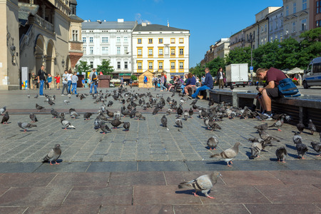 KRAKOW, POLAND - August 7, 2016: Tourists and pigeons on the main square in Krakow. Polandのeditorial素材