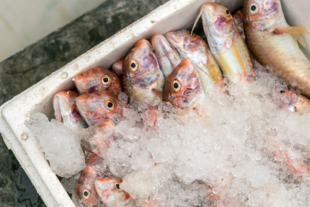 Fresh fish on sale on seaside promenade. Zakynthos island, Greeceの写真素材