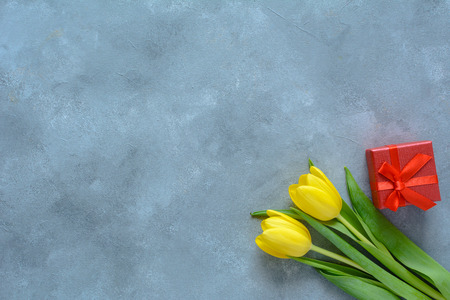 Yellow tulips, spring flowers. Background for Birthday, Woman Day, or Mothers Day. Copy space.の写真素材