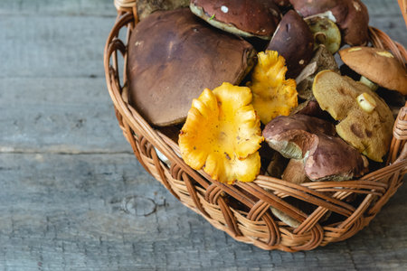 Basket full of different fresh forest mushrooms.