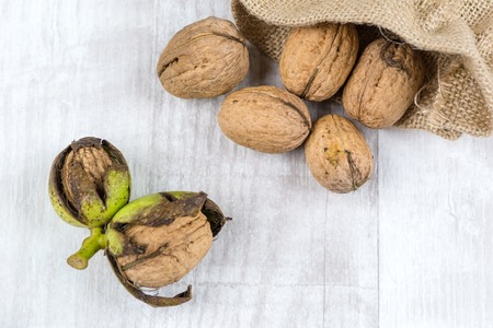 Fresh walnuts. Garden harvest. Healthy food.の写真素材