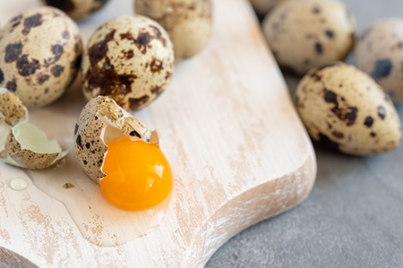 Fresh organic quail eggs, a delicacy in many parts of the world.の写真素材