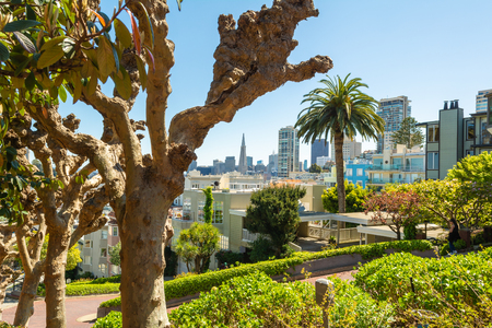 View of San Francisco photographed from the famous Lombard street. California, USAの写真素材