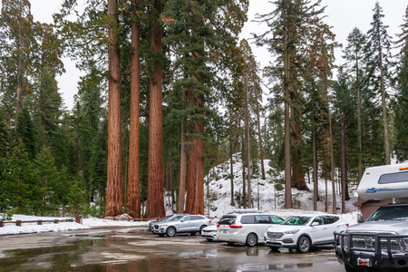 CALIFORNIA, USA - April 3, 2019: Sequoia National Park in California. The park is notable for its giant sequoia trees. USAのeditorial素材