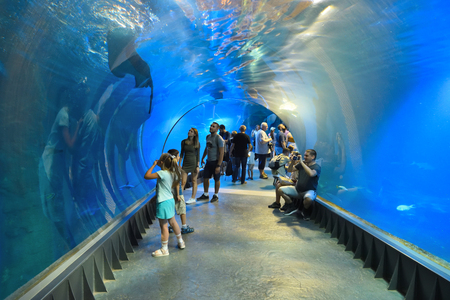 Wroclaw, Poland - July 17, 2019: People visit the modern aquarium with underwater tunnel in Wroclaw Africarium.のeditorial素材