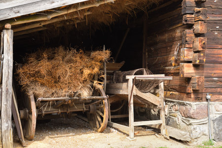 Hay cart in The Folk Culture Museum in Osiek by the river Notec. Poland, Europe