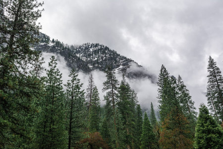 Natural landscape of Yosemite National Park, California. USAの写真素材