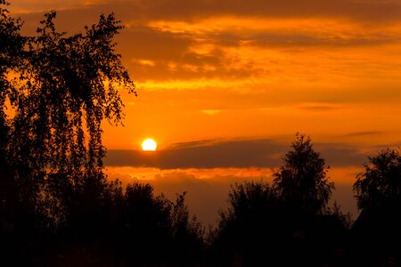 Trees silhouettes on the background of colorful sunsetの写真素材
