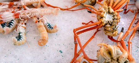 Fresh seafood at the fish market in Ciutadella, on the island of Menorca. spainの写真素材