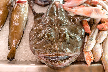 Fresh fish at the fish market in Ciutadella on the island of Menorca. spainの写真素材