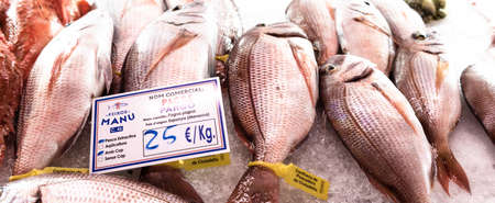 Fresh fish at the fish market in Ciutadella on the island of Menorca. spainのeditorial素材