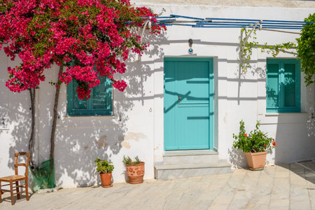 Blooming bougainvillea flowers on street in Lefkes village on the island of Paros. Cyclades, Greeceの写真素材