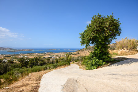 Paros Island, a popular tourist destination in the Aegean Sea. Cyclady Islands, Greeceの写真素材