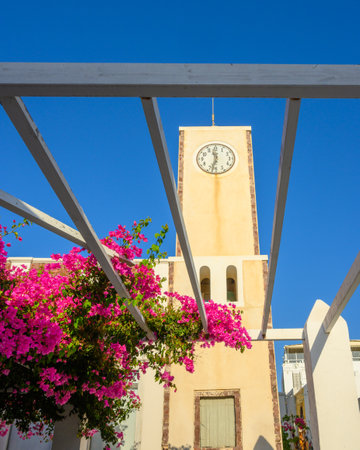 Blooming bougainvillea flowers on Santorini. Cyclades, Greeceの写真素材