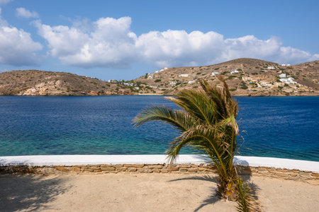 Palm tree on terrace with sea view in Ios on a sunny day. Cyclades Islands, Greeceの写真素材