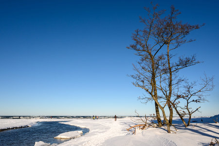 Debki, Poland - February 13, 2021: Snow covered beach on the Baltic Sea. Debki, Polandのeditorial素材
