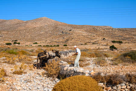 Folegandros, Greece - September 25, 2020: Greek man and his mule on the summer pasture on Folegandros island. Cyclades, Greeceのeditorial素材