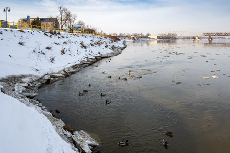 Tczew, Poland - February 21, 2021: Coastline of Vistula river during winter. Tczewのeditorial素材
