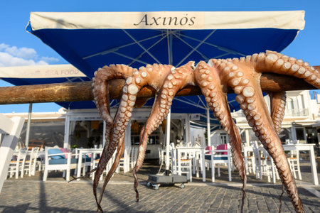 Paros, Greece - September 27, 2020: Drying octopus on the street in Naoussa village. Paros Island,...
