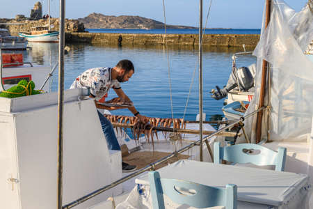 Paros, Greece - September 27, 2020: A man is drying octopus on a fishing boat in port of Naoussa. Paros Island, Cyclades, Greece.のeditorial素材