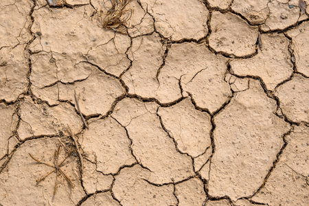 Dry and cracked ground. Texture with natural patterns.