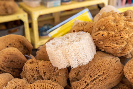 Natural sponges in local market. Symi island. Greeceの写真素材