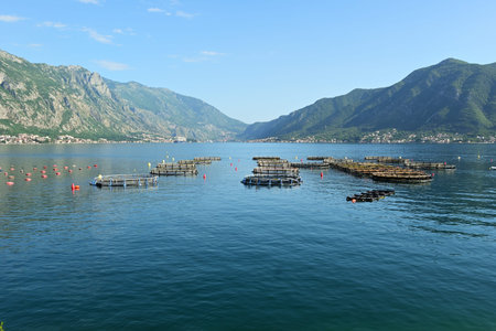 Fish farm in the Bay of Kotor, Montenegro, Europe