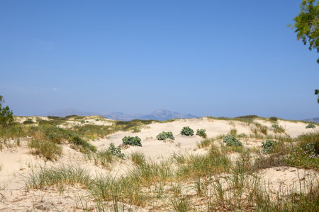 Sand dunes at Marmari beach on the Greek island of Kosの写真素材