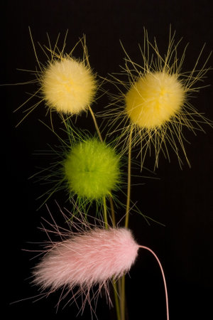 multi-colored fluffy brushes on black background