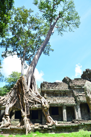 Angkor Wat, Prakaan, Siem reap, Cambodia.の写真素材