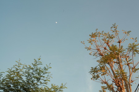 blue sky with little moonの写真素材