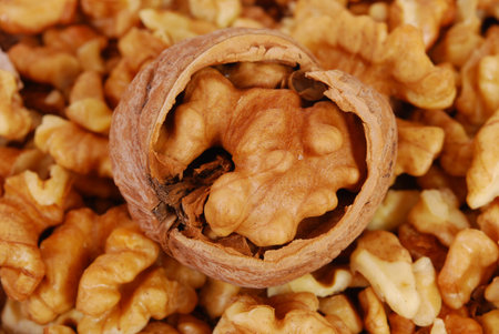 Food. Cracked circassian nuts as background texture