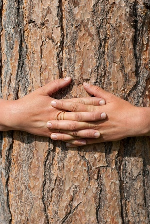 Abstract Nature. Arms wrapped around a treeの写真素材